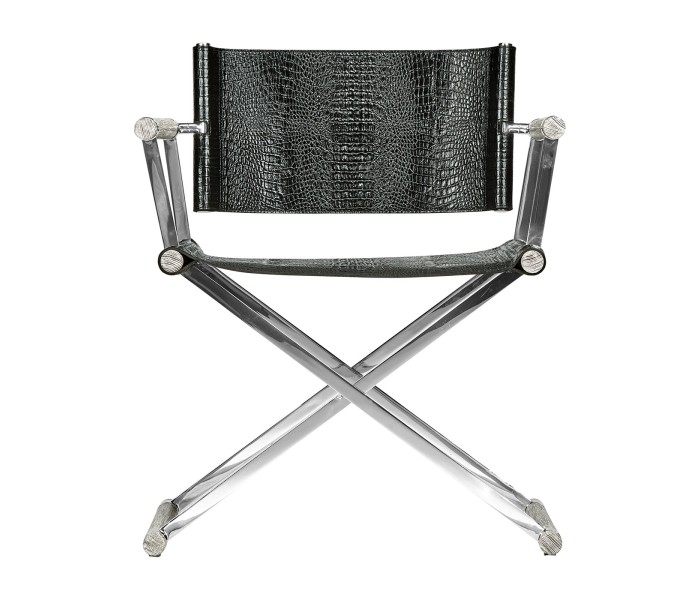 Director chair