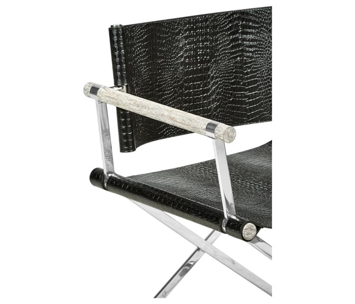Director chair