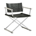 Director chair