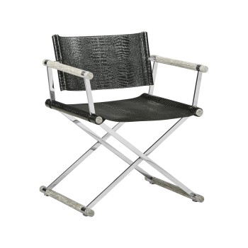 Director chair