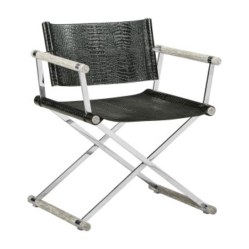 Director chair