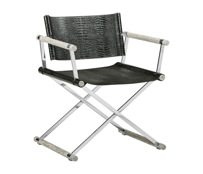 Director chair
