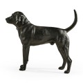 Foxhound