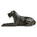 Airedale Terrier