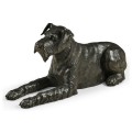Airedale Terrier