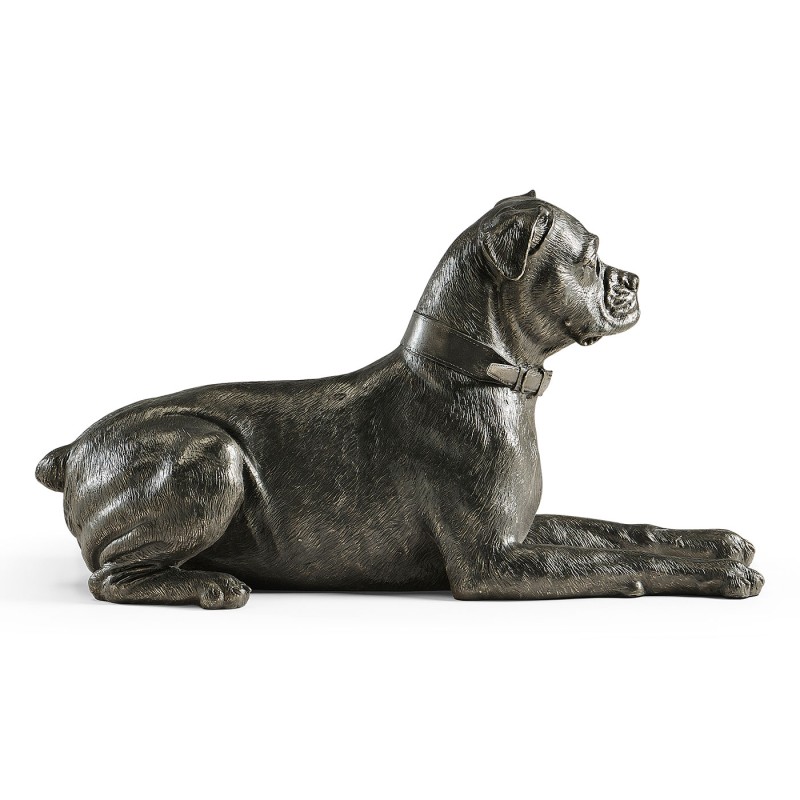 Bella boxer lying - large
