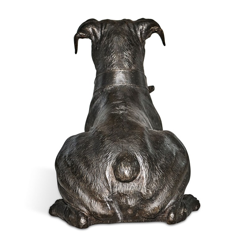 Bella boxer lying - large