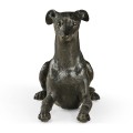 Whippet standing no collars