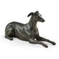 Whippet standing no collars