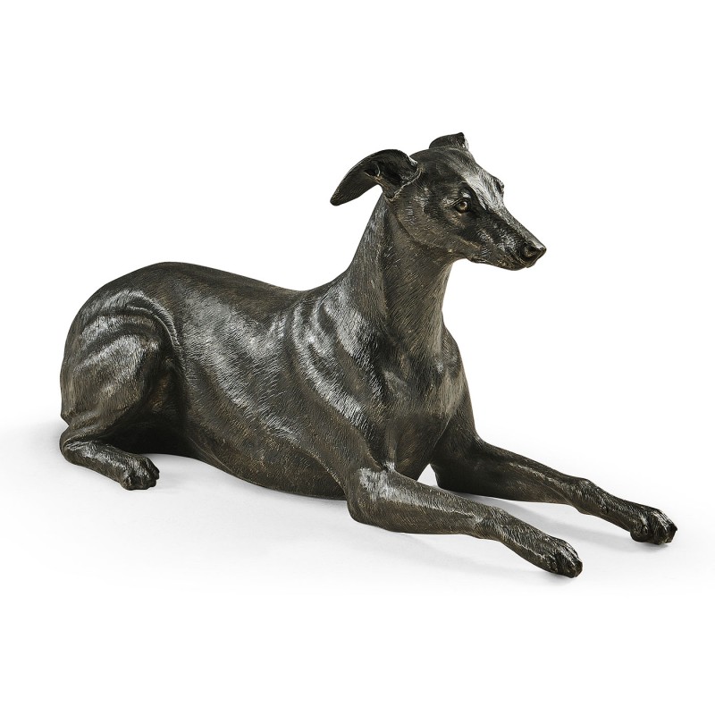 Whippet standing no collars