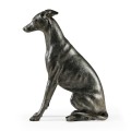 Whippet sitting no collars