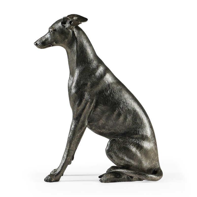 Whippet sitting no collars