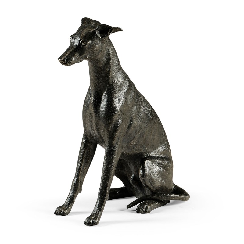 Whippet sitting no collars