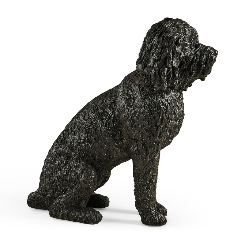 Harry labradoodle