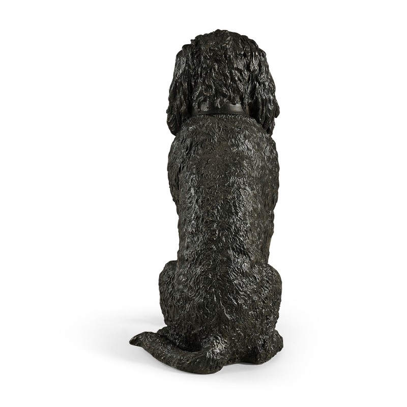 Harry labradoodle