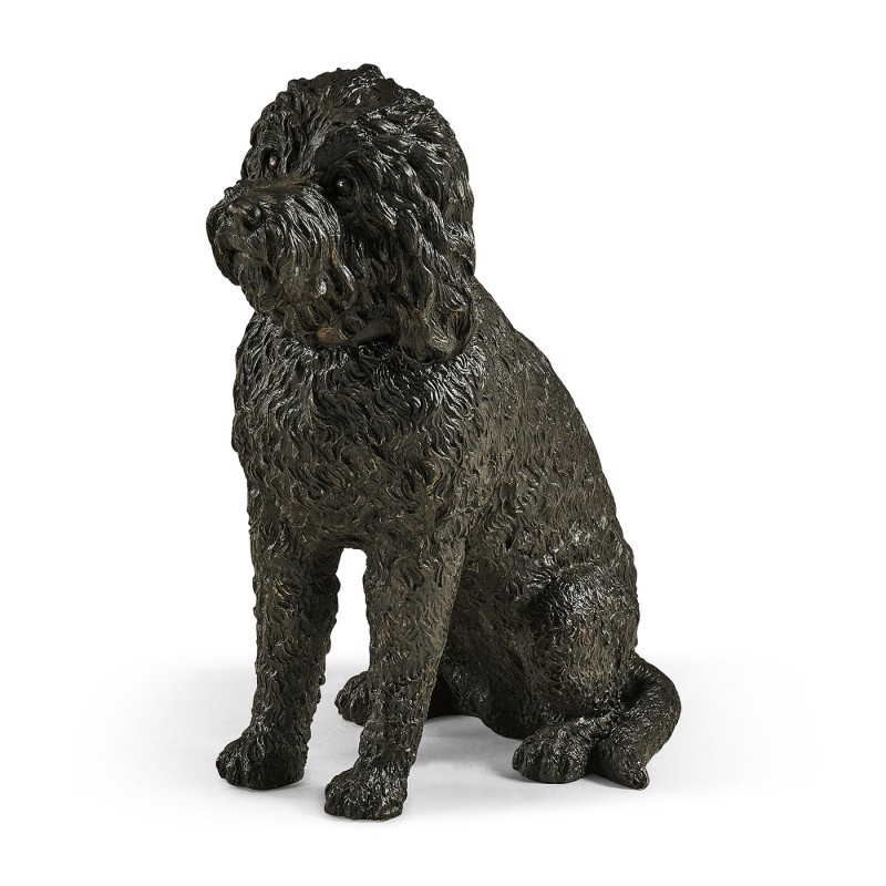 Harry labradoodle