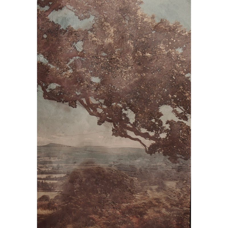 English Rolling Hills